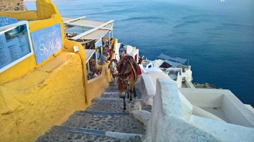a horse walking down a staircase next to the ocean at Yposkafon Concept Two-Bedroom Villa with Private Jacuzzi and Hamam in Megalokhori