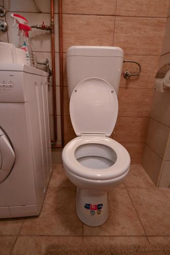 a bathroom with a white toilet and a shower at Olja in Sarajevo