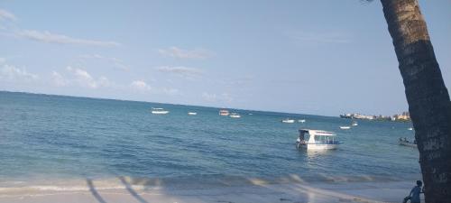 Naturlandskabet i nærheden af lejligheden