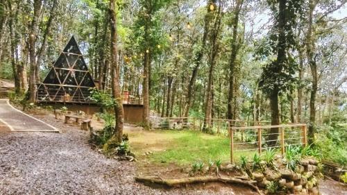 Příroda nedaleko chaty