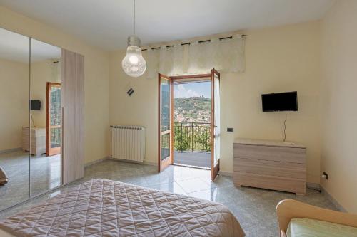 ピモンテにあるBed And Breakfast Il Ceppo Wildのベッドとテレビと窓のある寝室