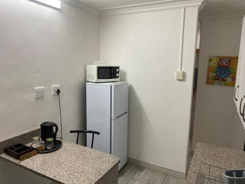 a kitchen with a refrigerator and a microwave on top of it at Augustine Avenue Guest House in Ladysmith