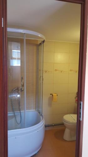 a bathroom with a shower and a toilet at Studio Piata Sfatului - Brasov in Braşov