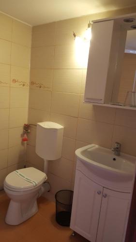a bathroom with a white toilet and a sink at Studio Piata Sfatului - Brasov in Braşov