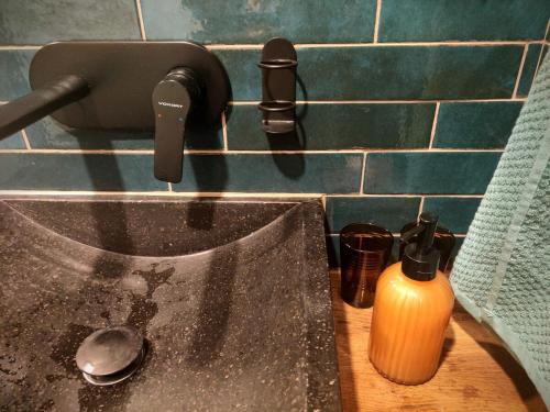 a sink with a faucet and a bottle of soap at Prospect in Motovun