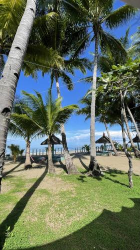 a group of palm trees on a beach at Labros Adventure Camp and Waterfront in Calintaan