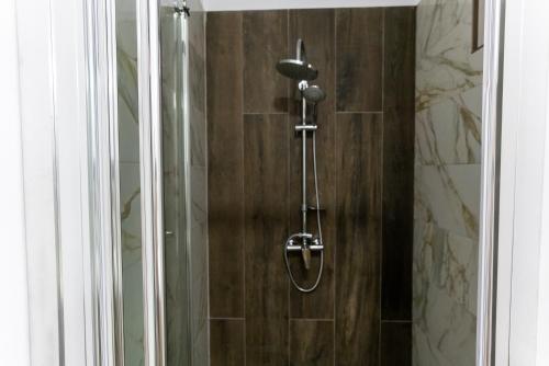 a shower in a bathroom with a glass door at Vila Mihu Cetate in Deva