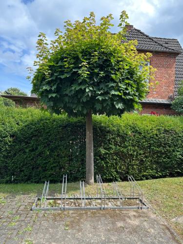 a metal frame around a tree in a yard at Eastside am Kurpark in Timmendorfer Strand
