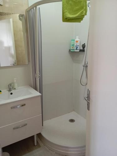 a bathroom with a shower and a toilet and a sink at STUDIO 6 LUZ SAINT SAUVEUR 5 Pers in Luz-Saint-Sauveur