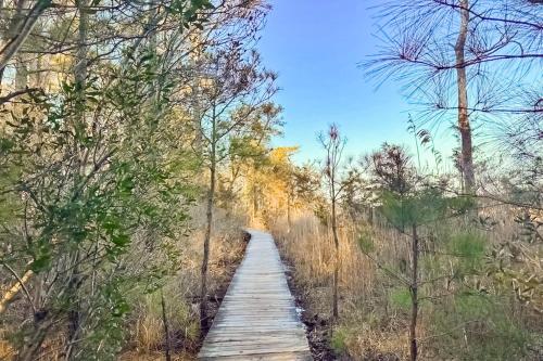 a wooden path through the woods at Marlin Chase --- 30340 Bermuda Dr in Ocean View