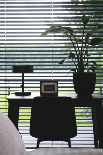 a table with a laptop and a potted plant on it at NOOQA - Villa RHEINLOFTS in Cologne
