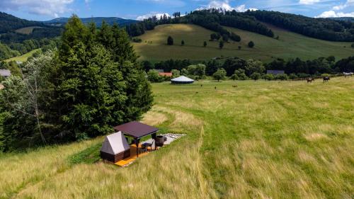 Glamping s piknikem u koní