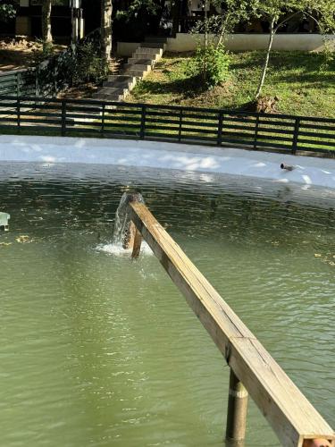 Permandangan sungai dekat dengan hotel