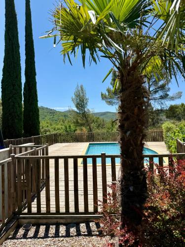 un palmier à côté d'une clôture à côté d'une piscine dans l'établissement Appartement 1 chambre avec piscine, à Gréoux-les-Bains