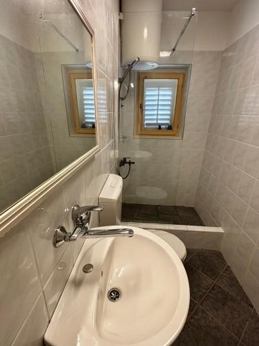 a bathroom with a sink and a toilet and a mirror at Mandarin Garden House in Orebić