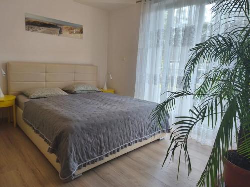 Giường trong phòng chung tại Apartament Nadmorski