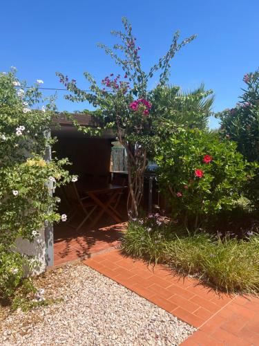 een tuin met roze bloemen en een huis bij Quinta das Amendoeiras B&B in Nora