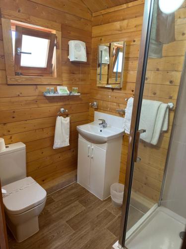 a bathroom with a toilet and a sink and a shower at Forest Edge Motel in Ticehurst