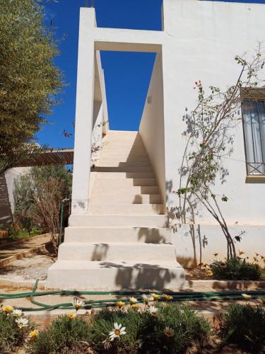 a staircase leading up to a white building with flowers at Baraka in Aghīr