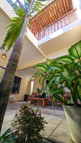 a room with a palm tree in a building at Morro Branco Pousada e aptos in Natal