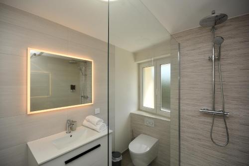 a bathroom with a shower and a sink and a toilet at LUNAR, proche frontière Basel, Free parking in Saint-Louis