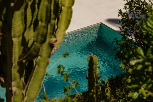 Villa in Elviria, a retreat among palm trees, with private heated pool and barbecue, Marbella