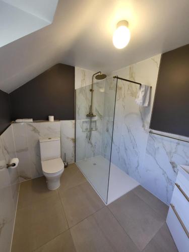 a bathroom with a toilet and a glass shower at Dingle Courtyard Holiday Homes 3 Bed Sleeps 6 in Dingle