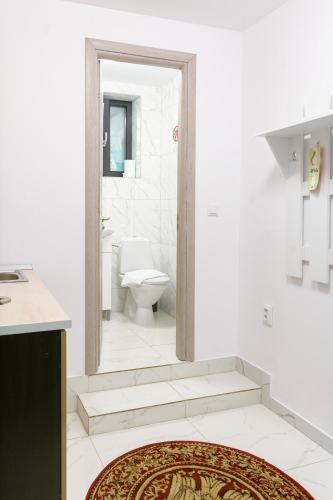 a bathroom with a toilet and a mirror at Hotel Palas Grand View in Iaşi