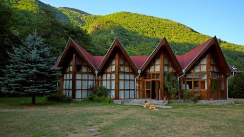 Gallery image of Cabana Retezat in Rîu de Mori