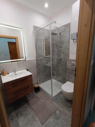 a bathroom with a shower and a toilet and a sink at Apartament Mazury in Ryn