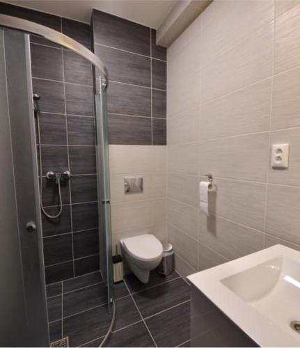 a bathroom with a shower and a toilet and a sink at Ubytovanie TB blízko Bojníc, v Prievidzi in Prievidza