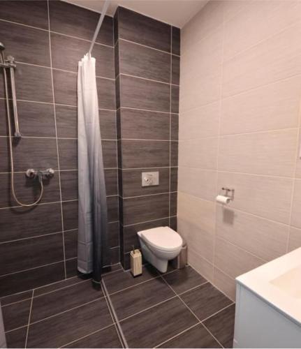 a bathroom with a toilet and a shower at Ubytovanie TB blízko Bojníc, v Prievidzi in Prievidza