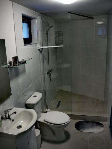 ein Badezimmer mit Dusche, Toilette und Waschbecken in der Unterkunft Defileu in Bumbeşti-Jiu