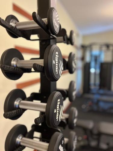 a rack of dumbbells in a gym at Hotel Relaks Wellness & SPA in Karpacz