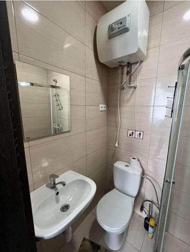 a small bathroom with a toilet and a sink at 1 kambario apartamentai in Raseiniai
