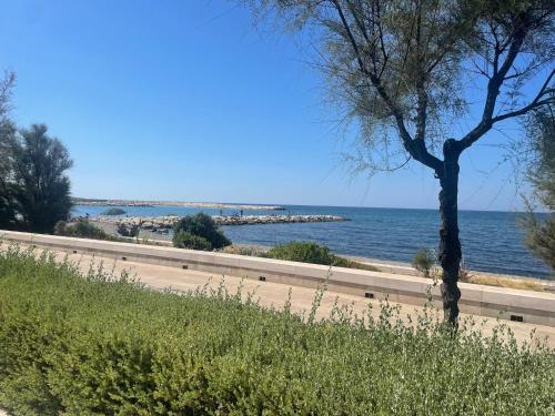 a road next to the ocean with a tree at La Titina Sangi in Bari