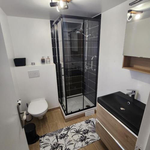 une salle de bain avec une douche, des toilettes et un lavabo dans l'établissement Appartement proche disney, à Montévrain