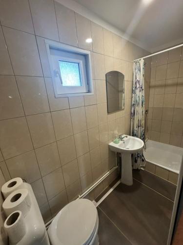 a bathroom with a toilet and a sink and a window at Casa Alex in Piteşti