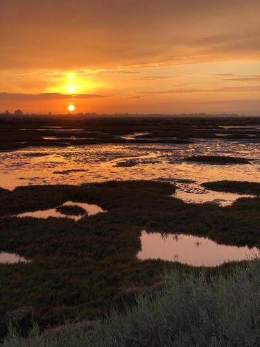 Fotografie z fotogalerie ubytování Apartamento 2 dormitorios Isla Canela v destinaci Isla Canela