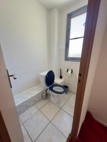 La salle de bains est pourvue de toilettes avec un siège bleu. dans l'établissement Auberge U Pampasgiolu, à Galéria