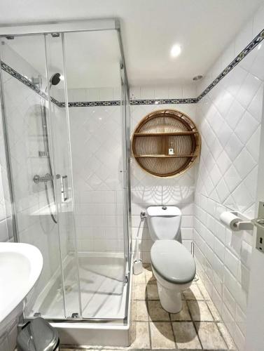 une salle de bain avec une douche, des toilettes et un lavabo dans l'établissement Apartment in Ile Rousse with sea view, à LʼÎle-Rousse