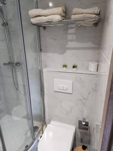 Bilik mandi di Appart Hôtel la roseraie