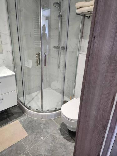 Bilik mandi di Appart Hôtel la roseraie