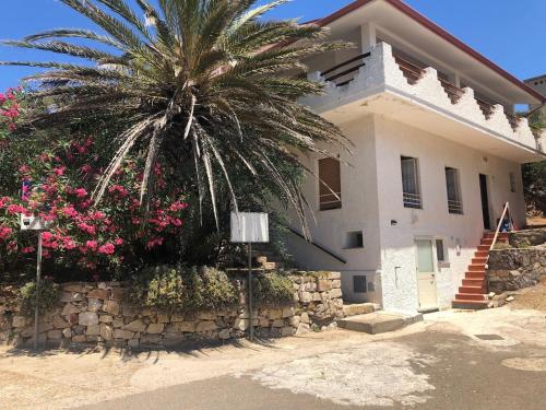 a palm tree in front of a house with flowers at Egidio's House Casa Vacanze Portixeddu in Portixeddu