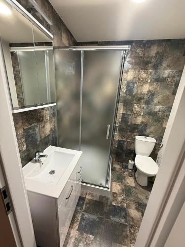a bathroom with a shower and a sink and a toilet at Penzion Anička in Klokočov