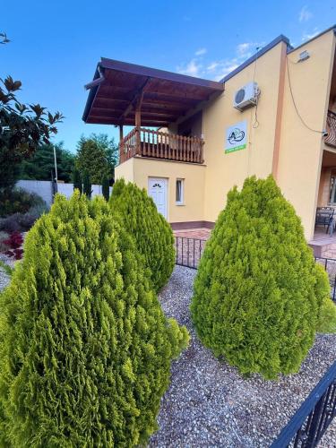 a group of shrubs in front of a house at Penzion Anička in Klokočov