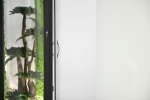 a window with a view of a palm tree at Tree Luxury in Baronissi