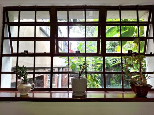 a window with three potted plants sitting on a counter at Casa Muntú - La Candelaria in Bogotá