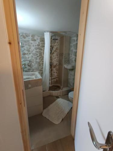 a bathroom with a shower and a sink and a toilet at Maniaveta's House in Exanthia