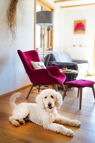 a white dog laying on the floor in a living room at Heimatglück in Lautenbach